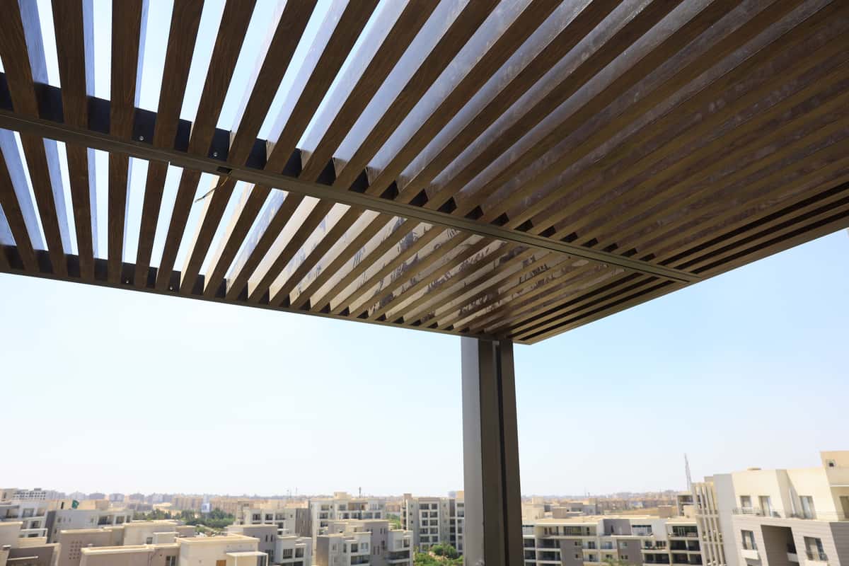 برجولة راينا جعفر
