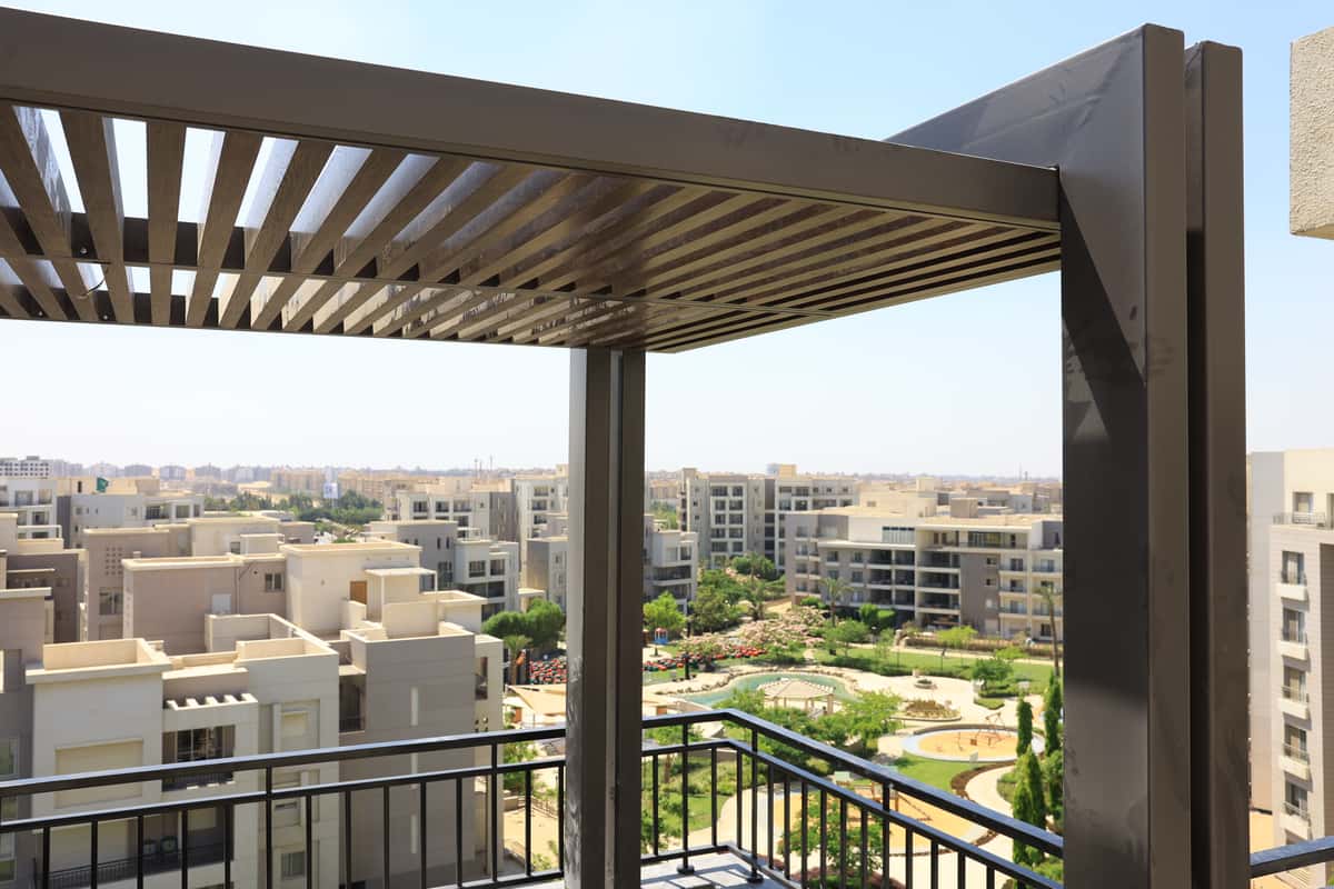 برجولة راينا جعفر