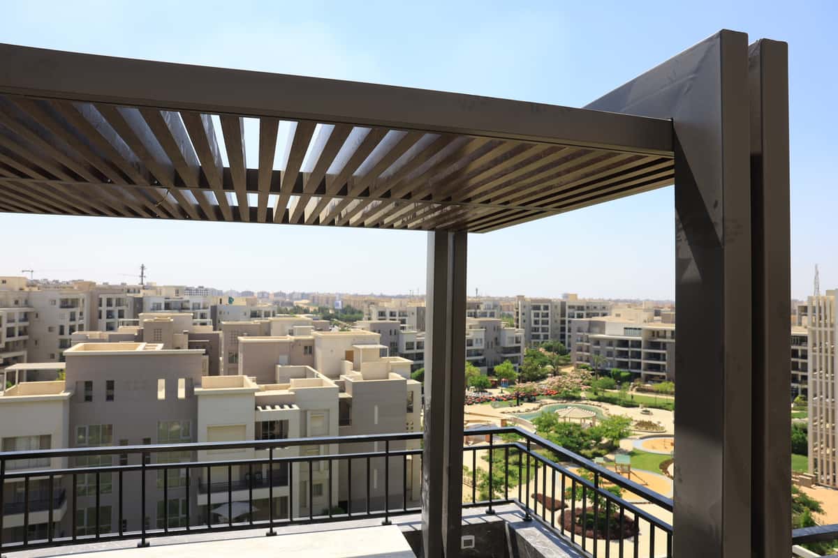 برجولة راينا جعفر