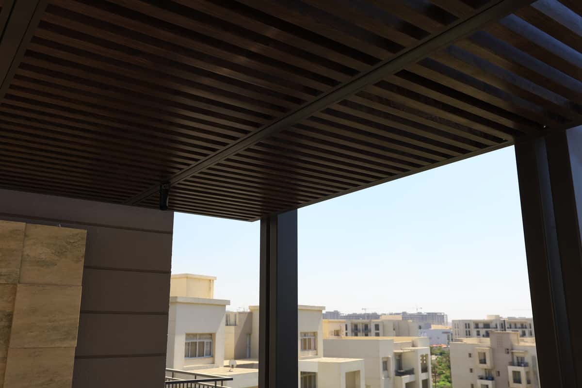 برجولة راينا جعفر